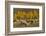 Trailing of the Sheep Festival, Autumn, Ketchum, Idaho, USA-Michel Hersen-Framed Photographic Print