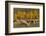 Trailing of the Sheep Festival, Autumn, Ketchum, Idaho, USA-Michel Hersen-Framed Photographic Print