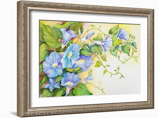 Trailing Vine Morning - Glories-Joanne Porter-Framed Giclee Print