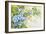 Trailing Vine Morning - Glories-Joanne Porter-Framed Giclee Print