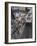 Train Ariving at Crowded Platform in New Delhi Train Station, Delhi, India-Eitan Simanor-Framed Photographic Print