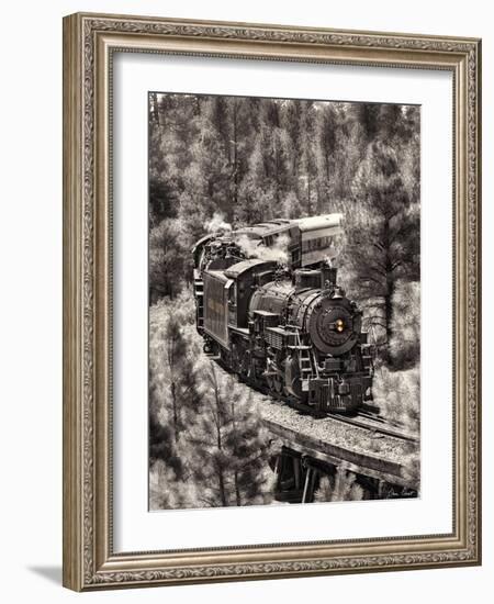 Train Arrival III-David Drost-Framed Photographic Print