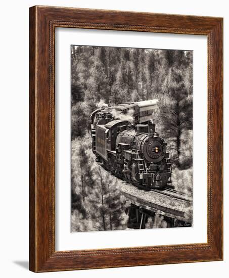 Train Arrival III-David Drost-Framed Photographic Print