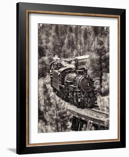 Train Arrival III-David Drost-Framed Photographic Print