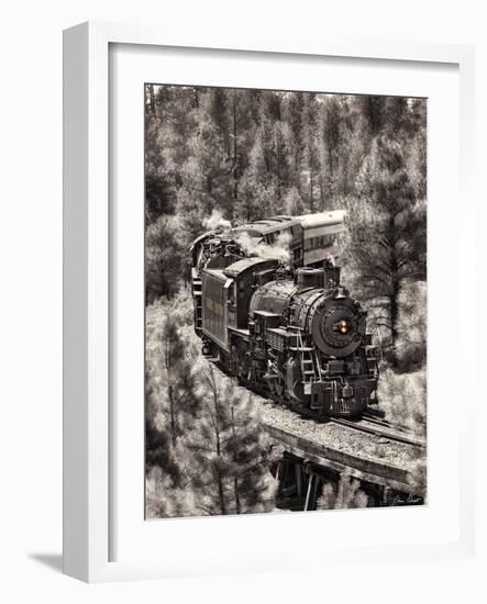 Train Arrival III-David Drost-Framed Photographic Print