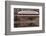 Train Bridge, Kansas, USA-Michael Scheufler-Framed Photographic Print