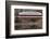 Train Bridge, Kansas, USA-Michael Scheufler-Framed Photographic Print