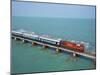 Train Bridge to Rameswaram Island, Rameswaram, Tamil Nadu, India, Asia-Tuul-Mounted Photographic Print
