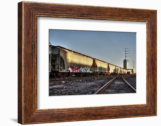 Train Cargo with Graffiti.-BCFC-Framed Photographic Print