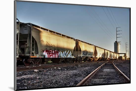 Train Cargo with Graffiti.-BCFC-Mounted Photographic Print