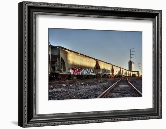 Train Cargo with Graffiti.-BCFC-Framed Photographic Print