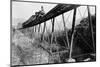 Train Crossing Railroad Trestle-null-Mounted Photographic Print