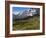 Train from Grindelwald on Route to Kleine Scheidegg, Bernese Oberland, Swiss Alps, Switzerland-Richardson Peter-Framed Photographic Print