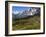 Train from Grindelwald on Route to Kleine Scheidegg, Bernese Oberland, Swiss Alps, Switzerland-Richardson Peter-Framed Photographic Print