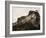 Train I-Jim Christensen-Framed Photographic Print