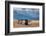 Train I-Alan Majchrowicz-Framed Photographic Print