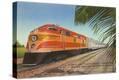 Stretched Canvas Print