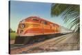 Stretched Canvas Print