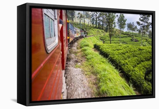 Train Journey Through Tea Plantations-Matthew Williams-Ellis-Framed Premier Image Canvas