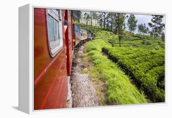 Train Journey Through Tea Plantations-Matthew Williams-Ellis-Framed Premier Image Canvas