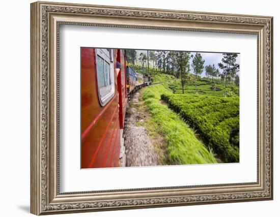 Train Journey Through Tea Plantations-Matthew Williams-Ellis-Framed Photographic Print