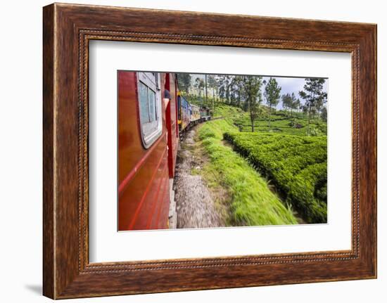 Train Journey Through Tea Plantations-Matthew Williams-Ellis-Framed Photographic Print