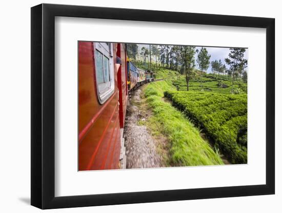Train Journey Through Tea Plantations-Matthew Williams-Ellis-Framed Photographic Print