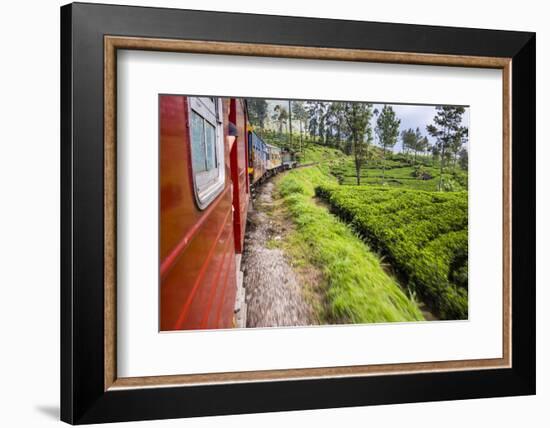 Train Journey Through Tea Plantations-Matthew Williams-Ellis-Framed Photographic Print