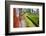 Train Journey Through Tea Plantations-Matthew Williams-Ellis-Framed Photographic Print