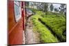 Train Journey Through Tea Plantations-Matthew Williams-Ellis-Mounted Photographic Print