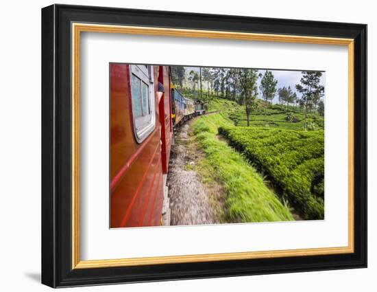 Train Journey Through Tea Plantations-Matthew Williams-Ellis-Framed Photographic Print