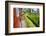 Train Journey Through Tea Plantations-Matthew Williams-Ellis-Framed Photographic Print