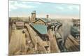 Premium Giclee Print