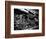 Train Strain-Stephen Arens-Framed Photographic Print