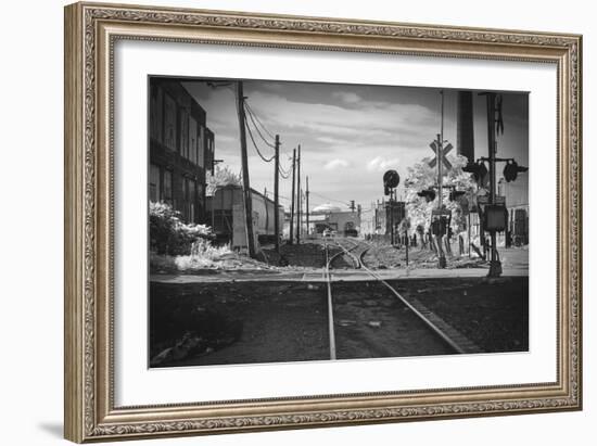 Train Tracks Greenpoint Brooklyn, Ny-null-Framed Photo