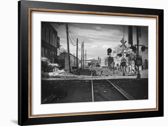 Train Tracks Greenpoint Brooklyn, Ny-null-Framed Photo