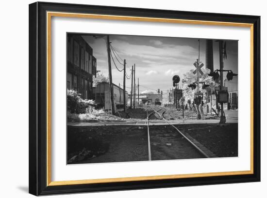 Train Tracks Greenpoint Brooklyn, Ny-null-Framed Photo