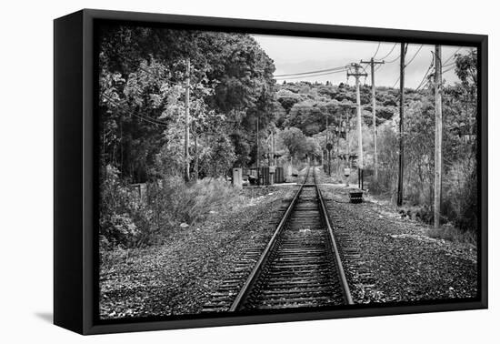 Train Tracks Oyster Bay New York B/W-null-Framed Stretched Canvas