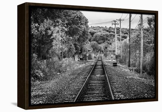 Train Tracks Oyster Bay New York B/W-null-Framed Stretched Canvas