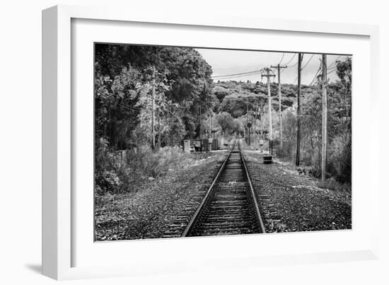 Train Tracks Oyster Bay New York B/W-null-Framed Photo