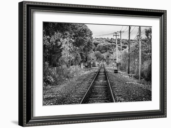 Train Tracks Oyster Bay New York B/W-null-Framed Photo