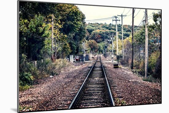 Train Tracks Oyster Bay New York-null-Mounted Photo