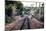 Train Tracks Oyster Bay New York-null-Mounted Photo