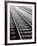 Train Tracks, Zurich, Switzerland-Walter Bibikow-Framed Photographic Print