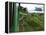 Train Travelling Betwen Manakara and Fianarantsoa, Madagascar-Inaki Relanzon-Framed Premier Image Canvas