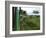 Train Travelling Betwen Manakara and Fianarantsoa, Madagascar-Inaki Relanzon-Framed Photographic Print