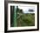 Train Travelling Betwen Manakara and Fianarantsoa, Madagascar-Inaki Relanzon-Framed Photographic Print