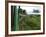 Train Travelling Betwen Manakara and Fianarantsoa, Madagascar-Inaki Relanzon-Framed Photographic Print