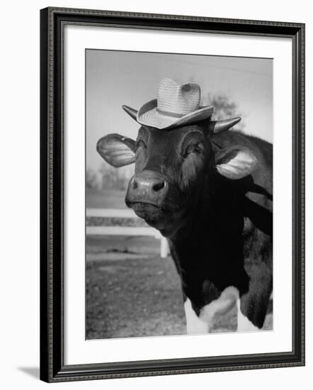 Trained Cow Wearing a Hat-Nina Leen-Framed Photographic Print