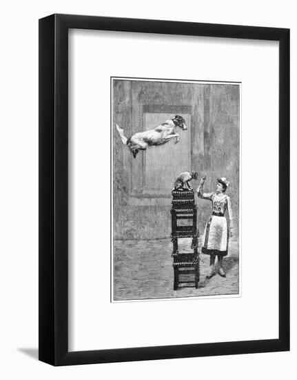 Trained Dogs, 19th Century-Science Photo Library-Framed Photographic Print